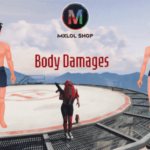 Body Damages UI V2