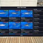 Advanced Fishing for qb-core supports oxmysql and qb