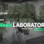Weed Growing System