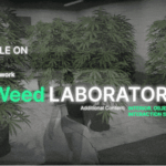 Weed Growing System